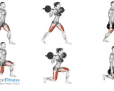 Männer und Frauen führen split squats mit Langhantel und Kurzhanteln aus. Muskeln werden hervorgehoben.