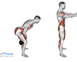 Kettlebell Swing: Die Muskeln werden beim Schwung mit der Kettlebell gezeigt.