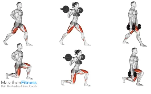 Männer und Frauen führen split squats mit Langhantel und Kurzhanteln aus. Muskeln werden hervorgehoben.