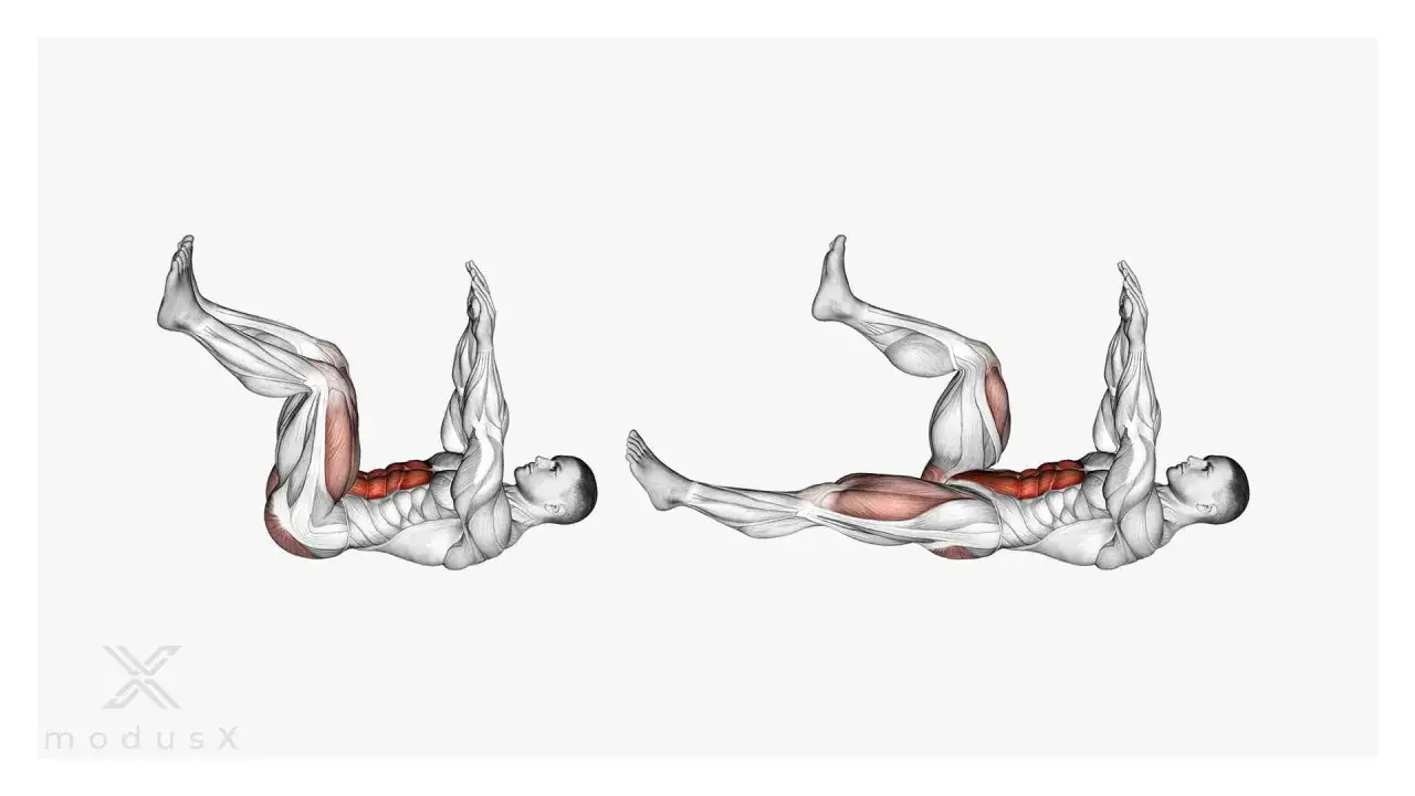 Anatomische Darstellung eines Mannes, der die 